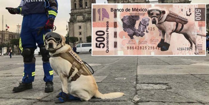 Piden en redes poner a Frida en billetes de $500 pesos
