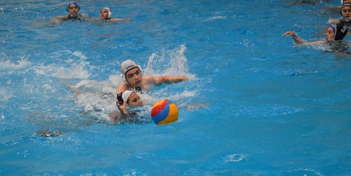 Realizan Festival Acuático en la alberca olímpica “Héroes de Caborca”