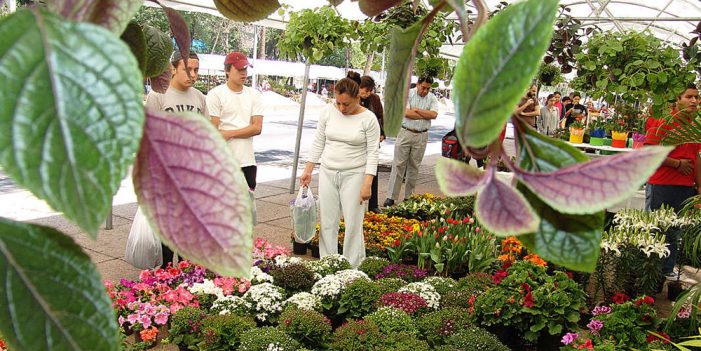 Vecinos de la Condesa se esfuerzan por retomar su estilo de vida