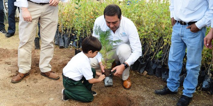 Recibe Nogales 50 mil árboles a través del “Vagón Verde”