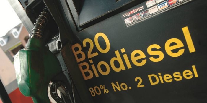 Estudiante experimenta con plantas para generar biodiésel