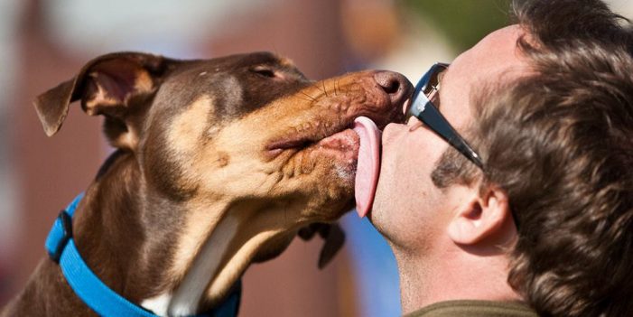 “Besar” a tu perro tiene potencial de muerte
