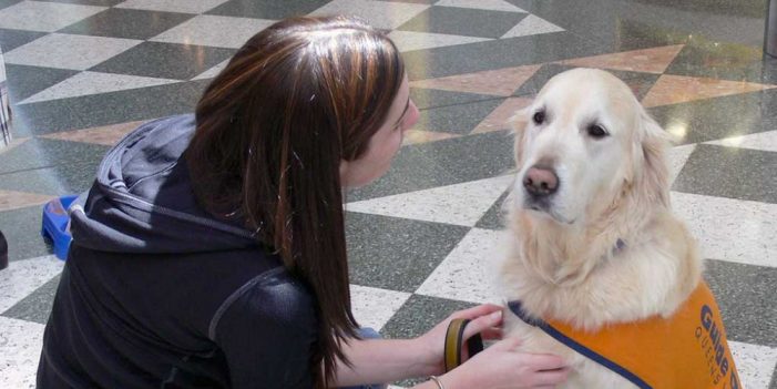 Los perros son los mejores detectando la felicidad