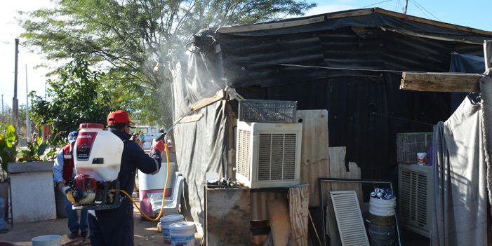 Llama Secretaría de Salud a evitar criaderos de moscos