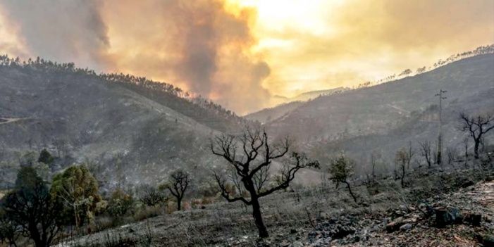Portugal y España declaran alerta por calor extremo