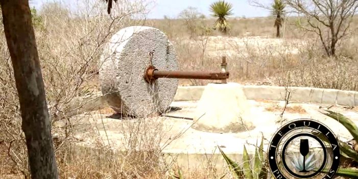 UNAM: Pueblos prehispánicos destilaban Mezcal