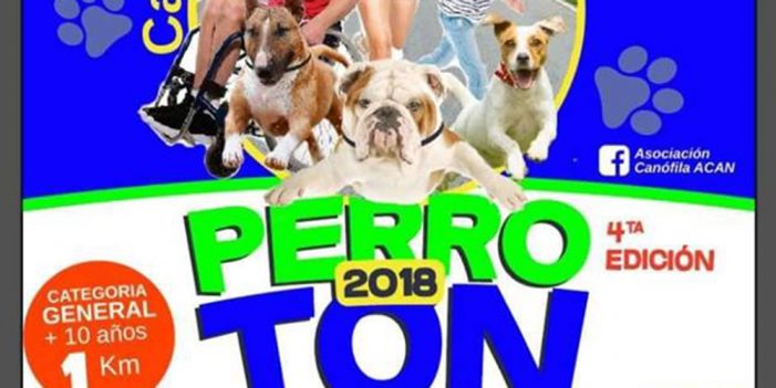 El “Perrotón 2018” está por comenzar