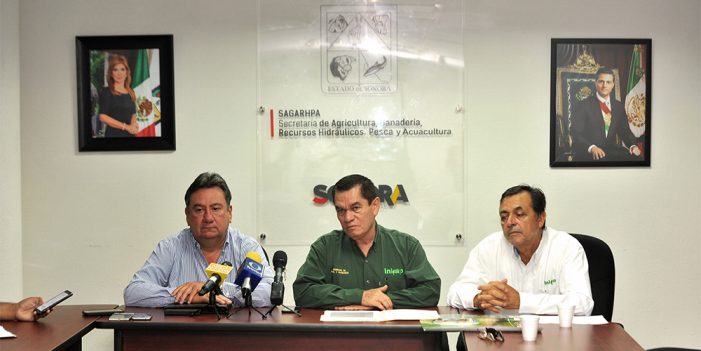 Anuncia titular de Sagarhpa celebración del VI Simposio Nacional de Garbanzo
