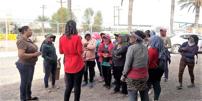 Busca ISM empoderamiento de féminas jornaleras agrícolas de Caborca