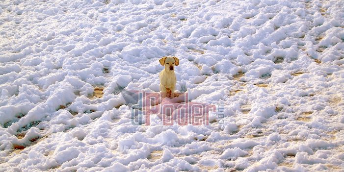 Frente frío 26 podría ingresar a Sonora
