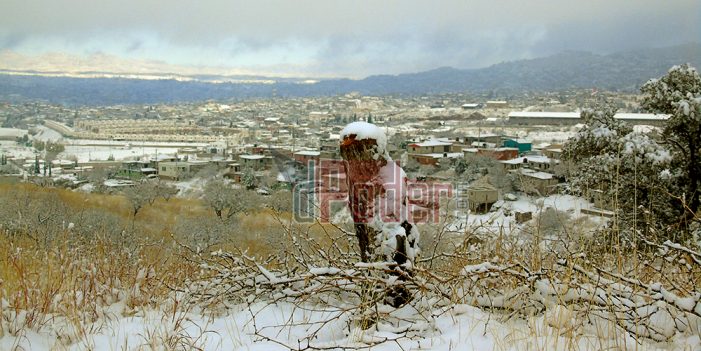 Declaran emergencia para 38 municipios de Sonora por bajas temperaturas