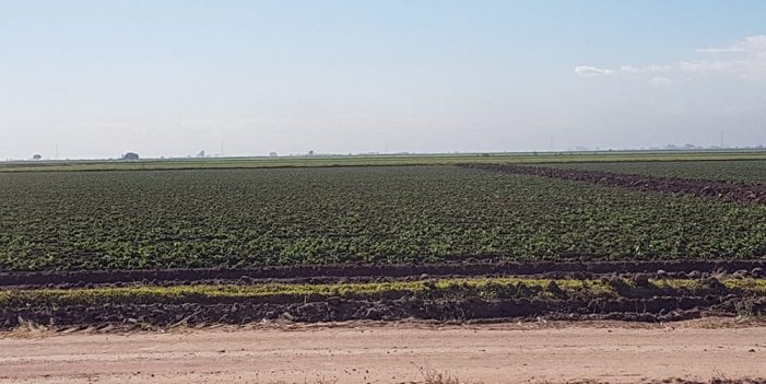 Solicita Gobernadora declaratoria de emergencia para Sonora