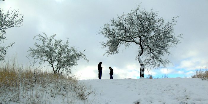 Tormenta invernal deja cuatro muertos en Estados Unidos