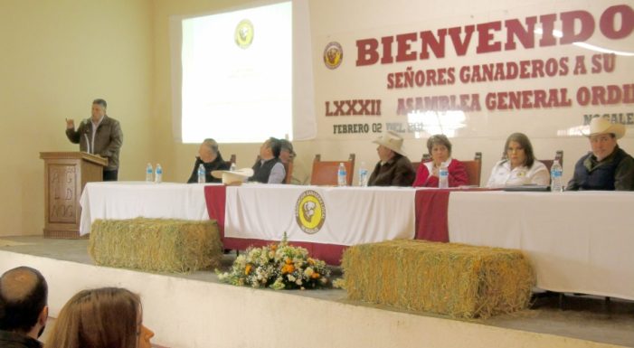 Falta de acuerdos en Asociación Ganadera de Nogales