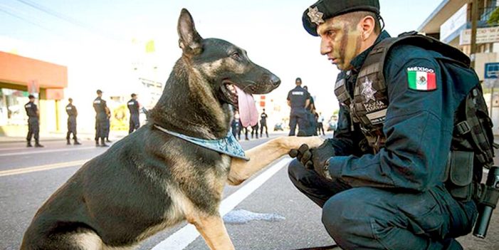 Reconocen a binomios caninos por su labor en puertos fronterizos