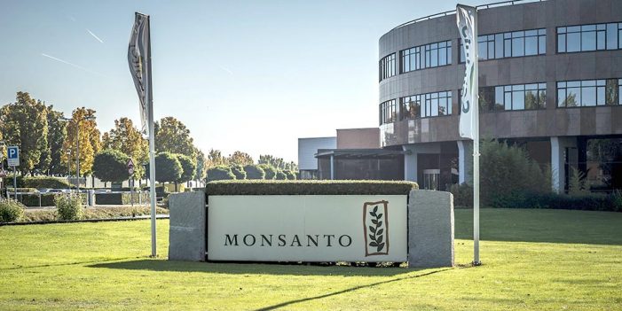 Monsanto pierde “batalla contra el cáncer”; debe pagar 81 MDD