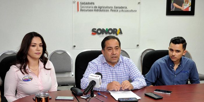Recomienda Sagarhpa consumir mariscos en puntos establecidos