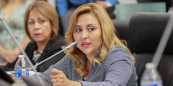 Plantean castigar nepotismo y dar mayor atención a grupos vulnerables