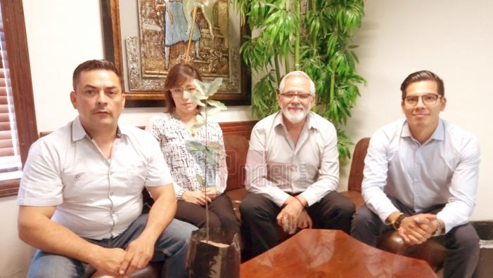 Bellota; Árbol patrimonial de Nogales