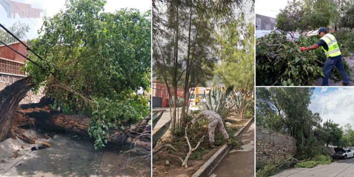 Lluvia atípica provoca caos en Nogales