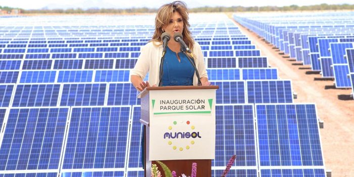 En marcha parque solar “La Orejana” uno de los más grandes en Sonora