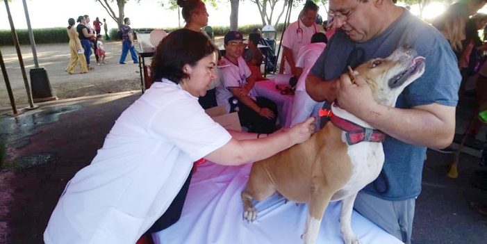 Realiza Salud Sonora campaña de vacunación de mascotas