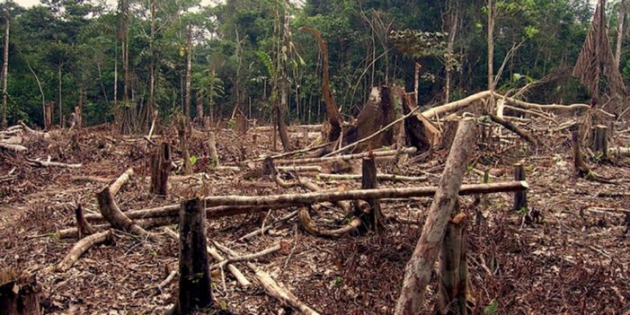 Millones de personas sufrirán escasez de recursos naturales para 2050