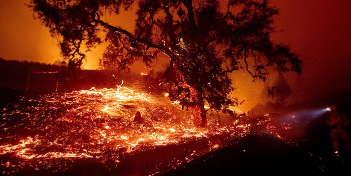 Controlan incendios en Ensenada y Tecate; Gavin Newsom declara emergencia