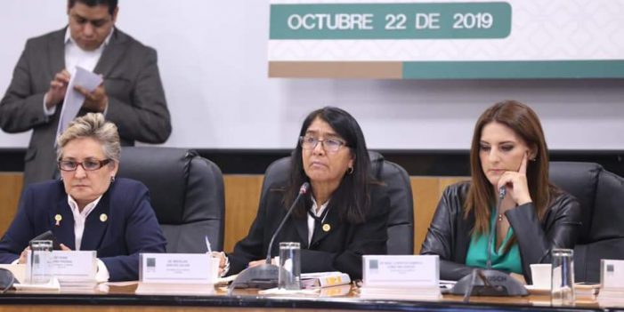 Diputados aprueba al Instituto de salud para el bienestar