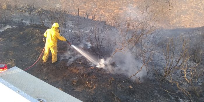 Reportan liquidados incendios en Baja California