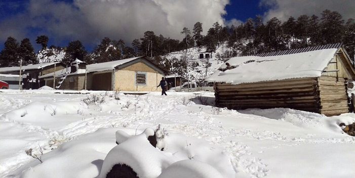 DURANGO SE CONGELA, registran -14 grados Celsius