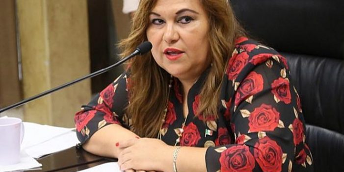 Pide diputada Leticia Calderón, emitir la Alerta de Violencia de Género para el 2020