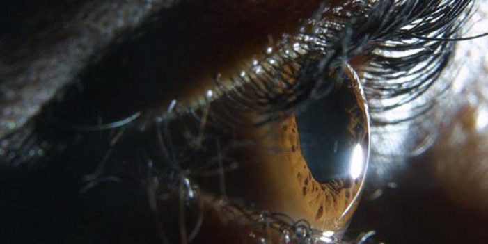 Expertos del Cinvestav estudian células madre para regenerar retinas