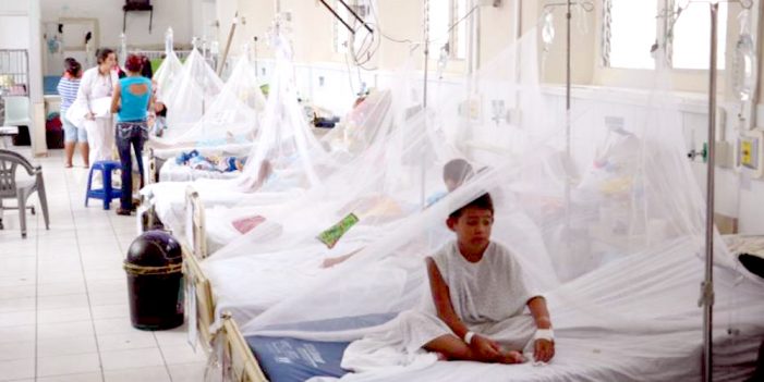 Registran 3 casos de dengue por día