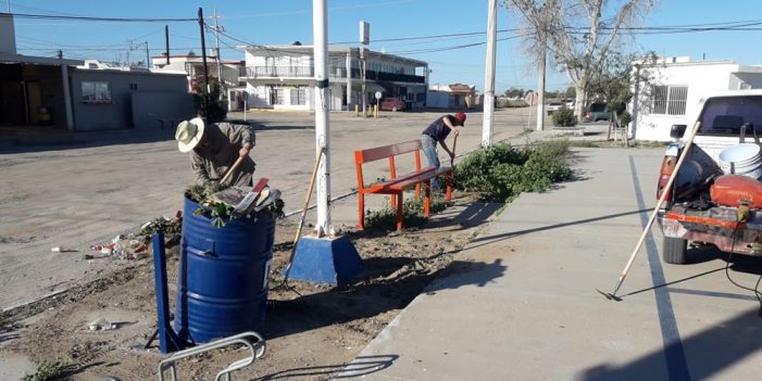 Atiende Gobierno Municipal servicios públicos de roca portenses
