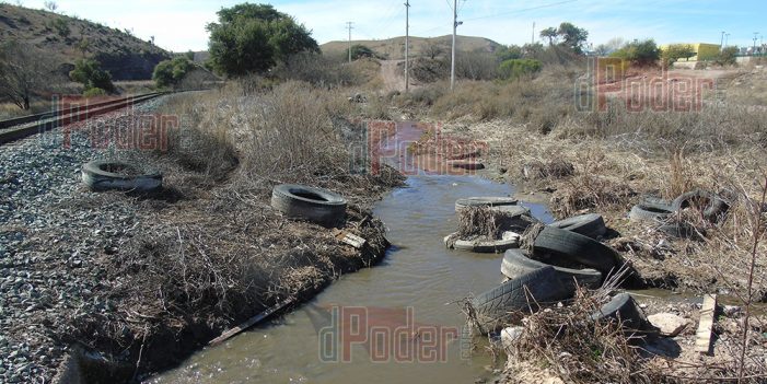 Enfrentamos una crisis biológico-ambiental: Semarnat