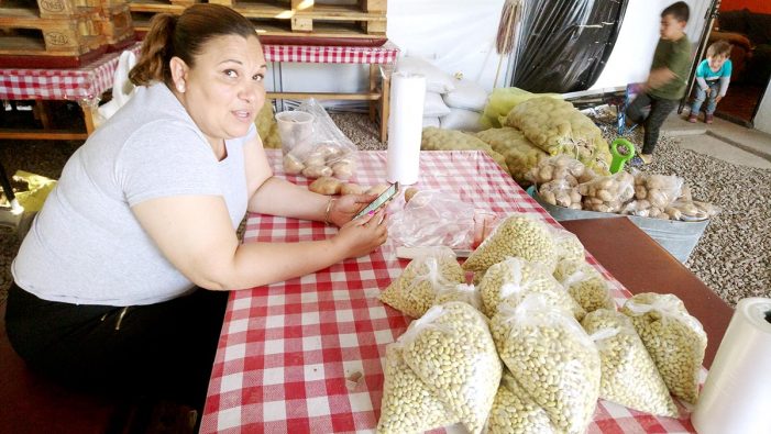 Pesar frijol y acomodar papas no es trabajo de diputados
