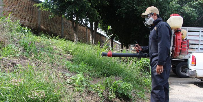 Aumentan casos de dengue en Jalisco