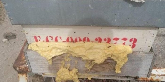 Mata a miles de abejas con espuma de poliuretano