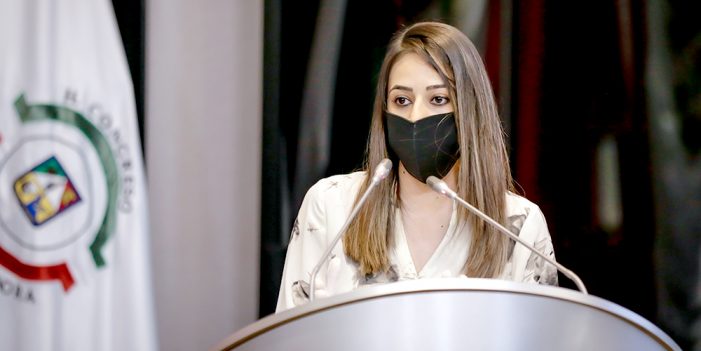 Comisión permanente del Congreso pide atender al comercio informal