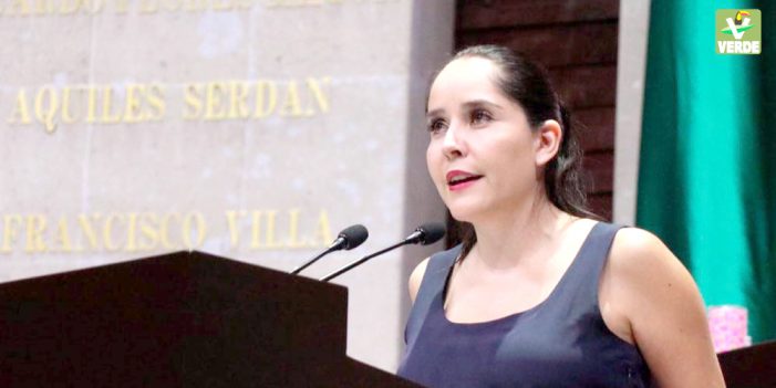 Urgen protocolos para enfrentar inseguridad en el sector turístico