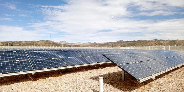 Ni un paso atrás en materia de energías renovables: Partido Verde