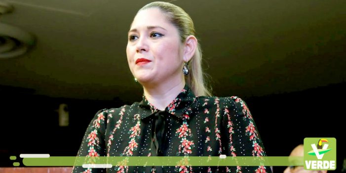 Senadora del Partido Verde pide otorgar seguro apícola a productores Senadora del Partido Verde pide otorgar seguro apícola a productores