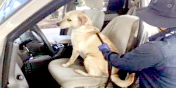 En Tijuana, otro golpe al tráfico de divisas