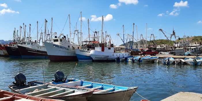 Pescadores de Sonora están listos para temporada camaronera