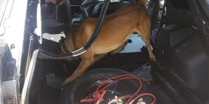 Decomisan cartuchos; conductor escapa