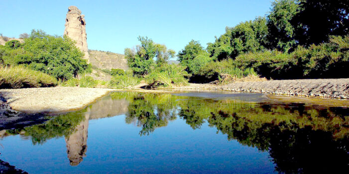 Entregarán reconocimiento a fotógrafos con trayectoria