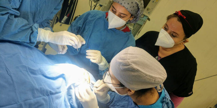 Lidera Sonora donación de órganos