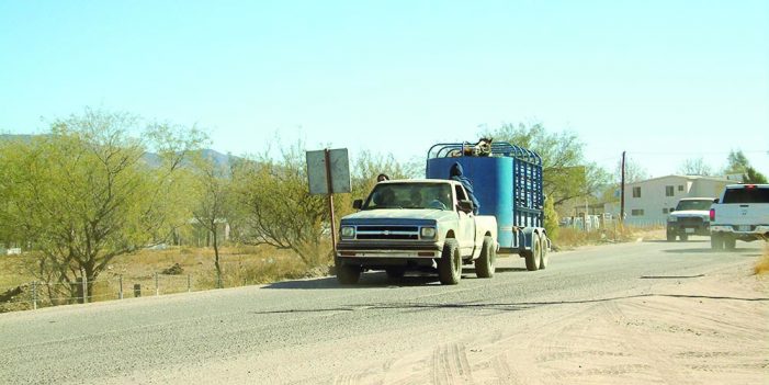 Forman equipo Ana Bernal y René Peralta