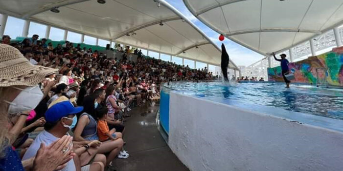 Casi ocho mil vacacionistas visitaron el #DelfinarioSonora